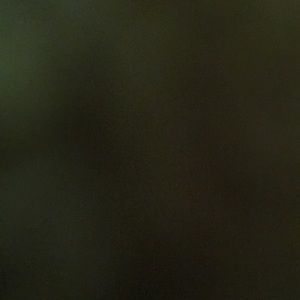 Meet your Posher, Joshua